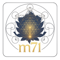 m71 bKash পেমেন্ট স্ক্রিন